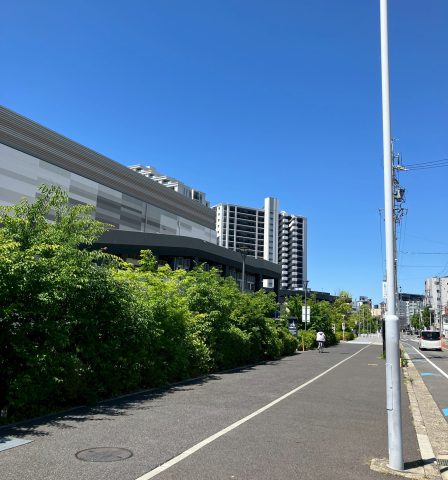 則武イオン横で見つけた「新緑×快晴」